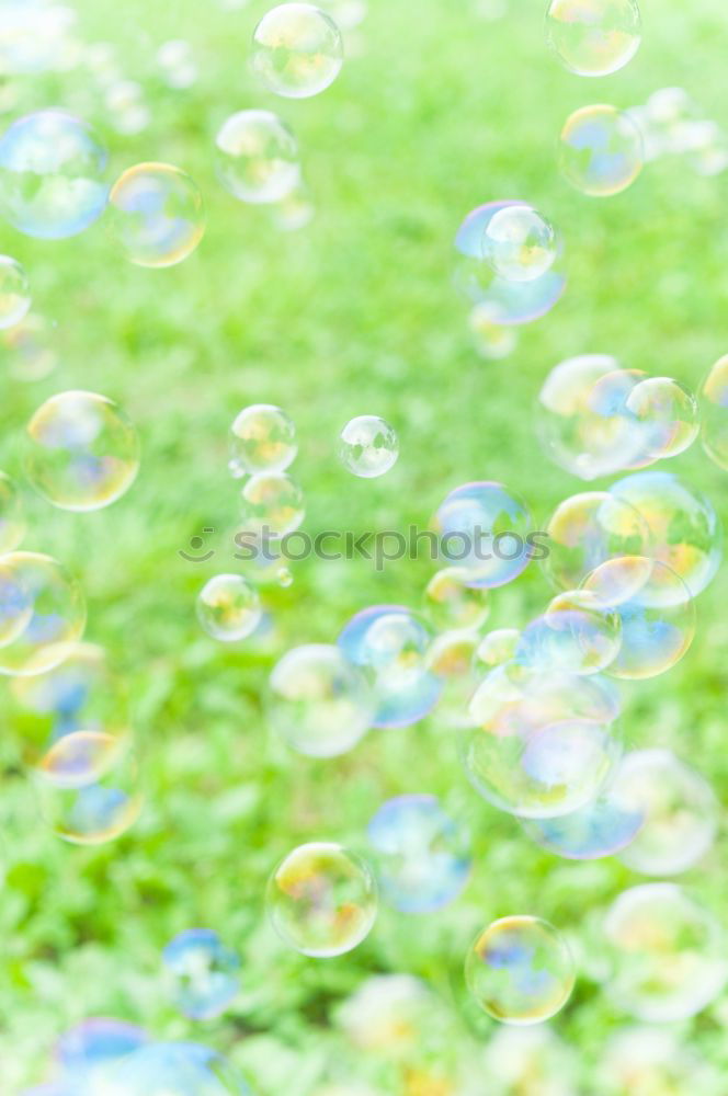 Similar – Image, Stock Photo Love in the grass Nature