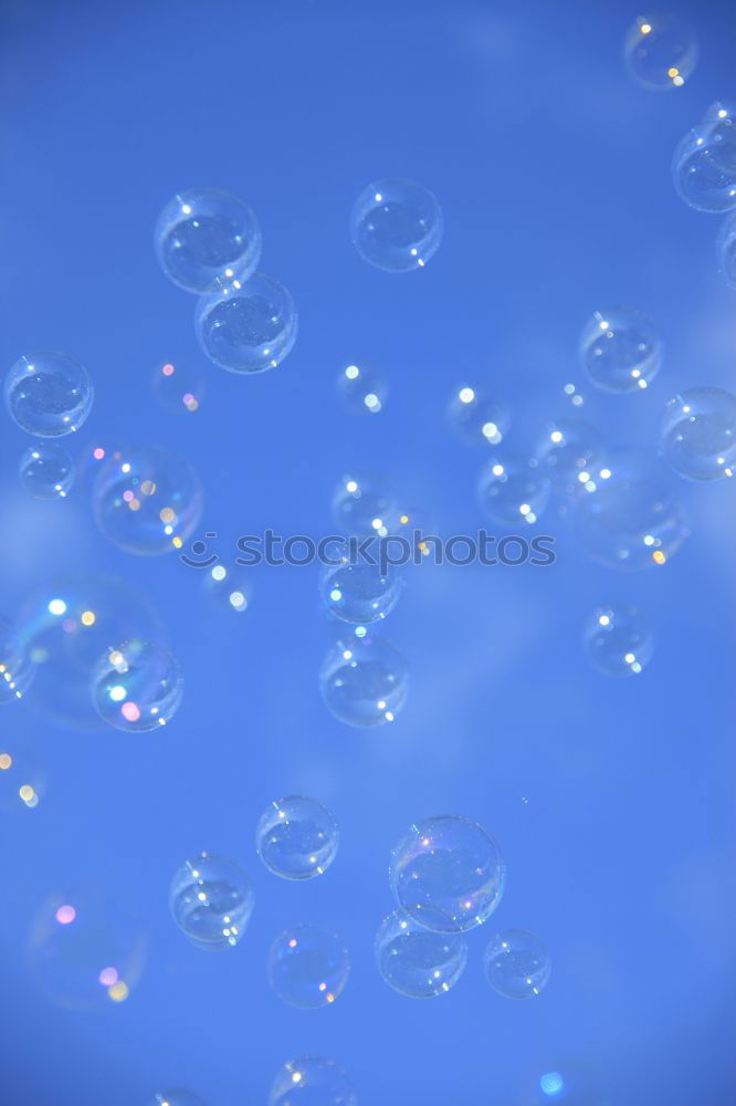 Similar – Image, Stock Photo jellyfish Hongkong Fish