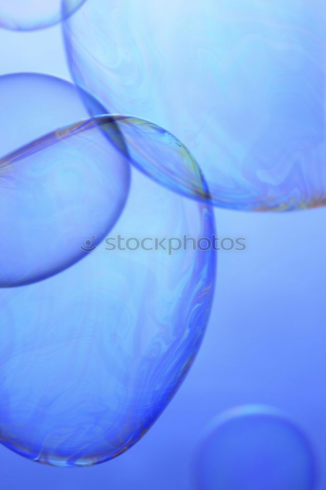 Similar – Image, Stock Photo blubbb Animal Water