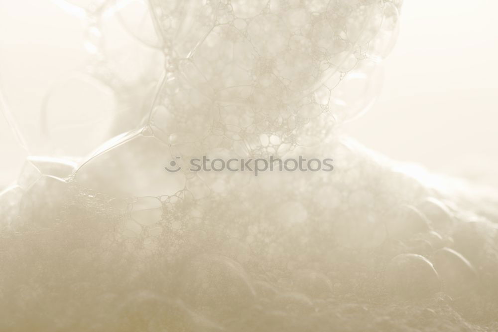 Similar – Image, Stock Photo Syracuse, Sicily, Italy: sculptures of Archimede Square. Detail