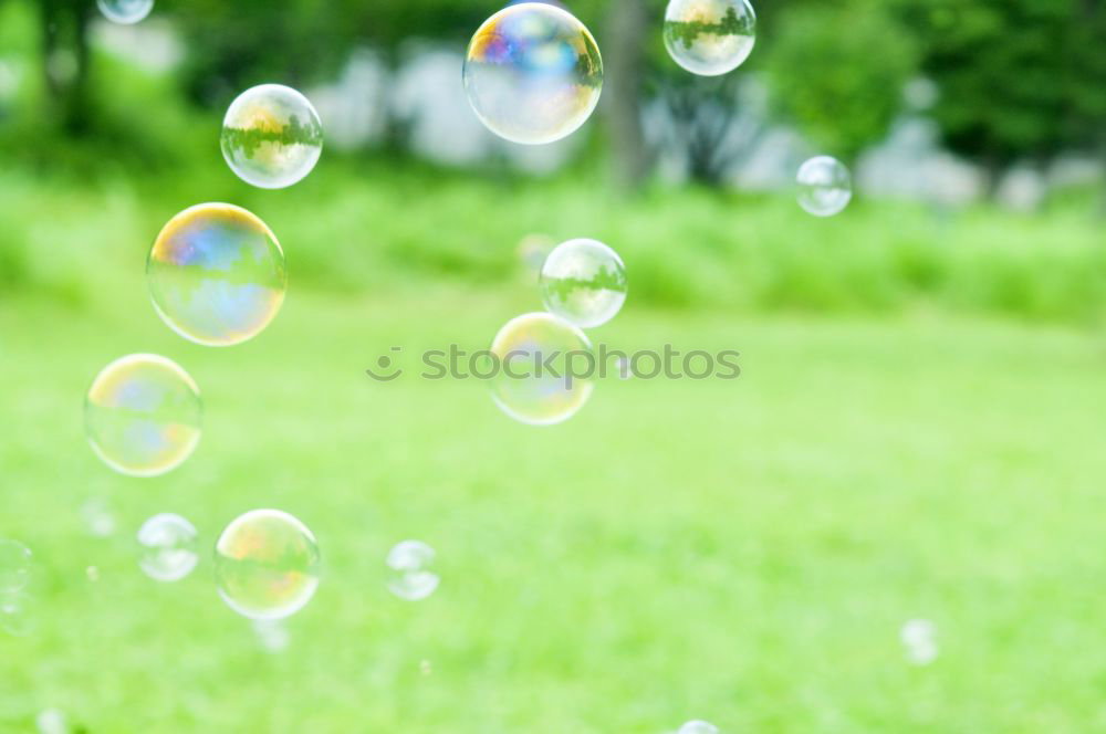 Similar – Image, Stock Photo With a prick everything is gone