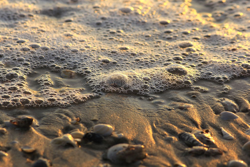 Similar – Image, Stock Photo Corsican gravel Gravel