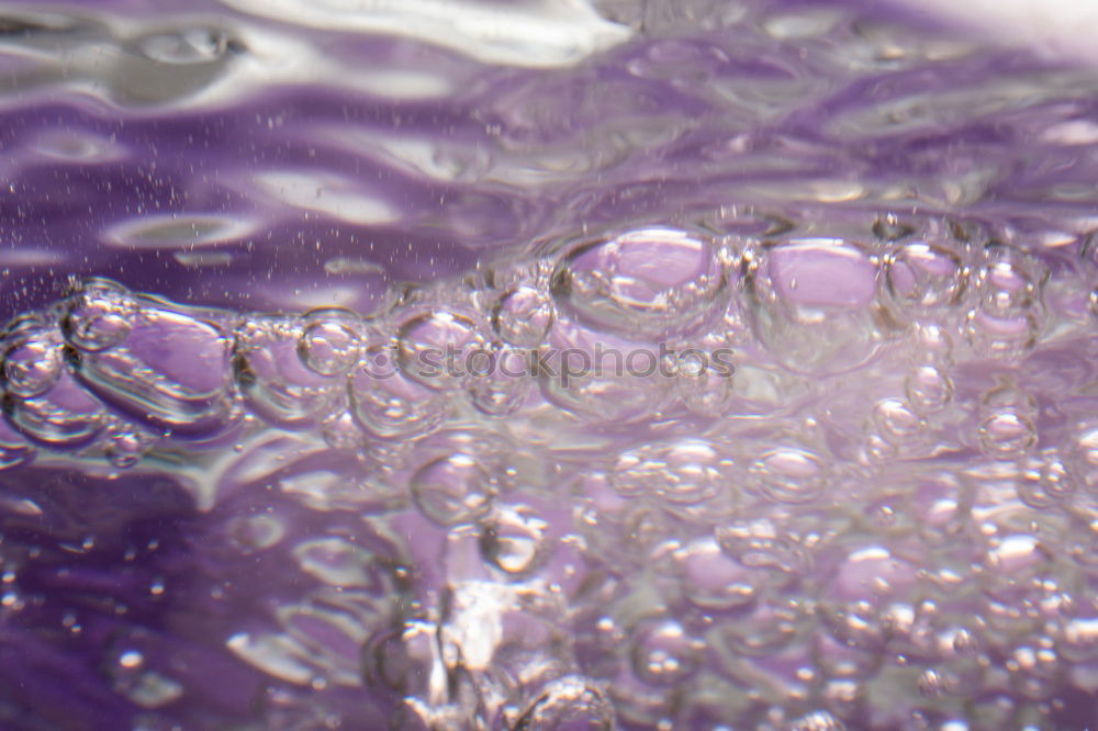 Similar – Image, Stock Photo bubbles Water Violet Foam