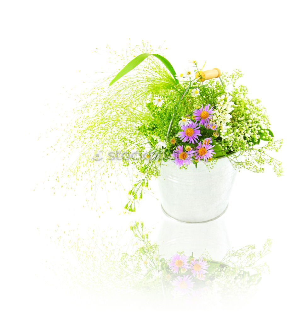 Similar – Image, Stock Photo Watering can with colorful garden flowers on the table