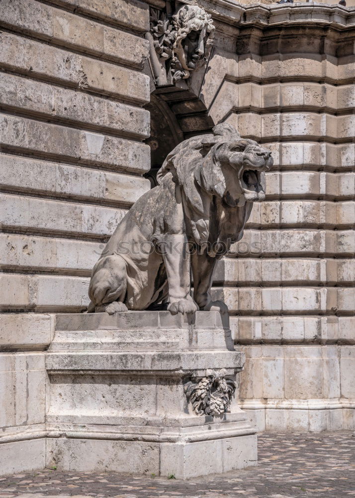 Similar – Image, Stock Photo Detail view of baroque fountain with nude statues on piazza Pretoria in Palermo, Sicily, Italy