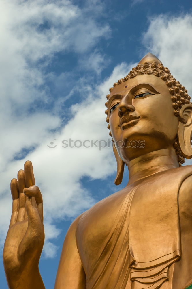 Similar – Image, Stock Photo Buddha Safari Body 1