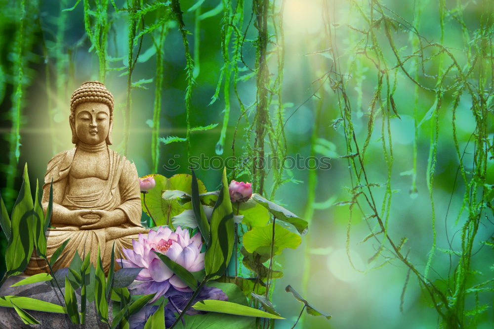 Similar – Image, Stock Photo Buddha Nature Plant Grass