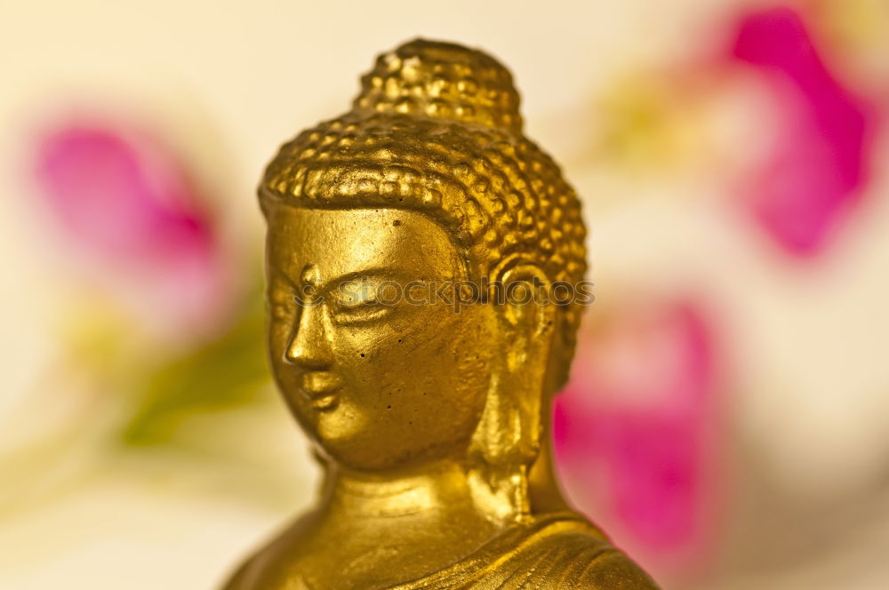 Similar – Image, Stock Photo Buddha Buddhism Siddhartha