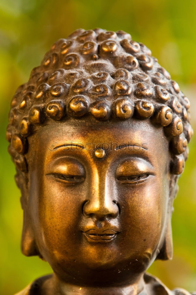 Similar – Image, Stock Photo 1000 Buddhas Temple in Hong Kong.