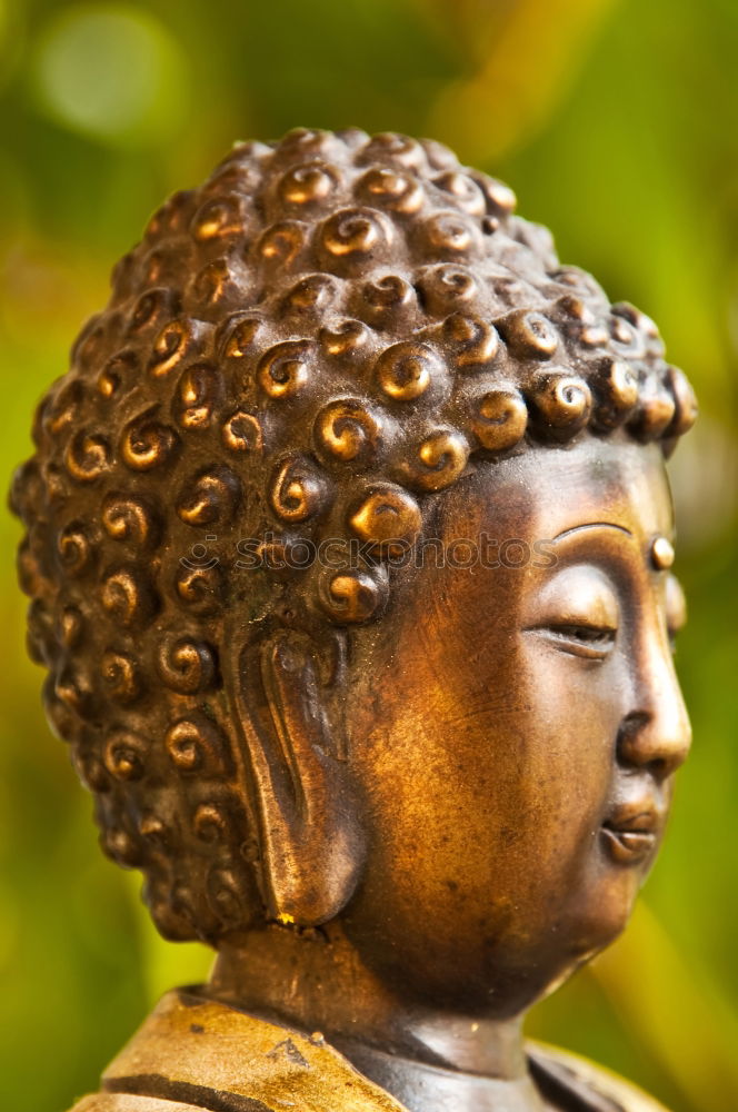 Similar – Image, Stock Photo 1000 Buddhas Temple in Hong Kong.