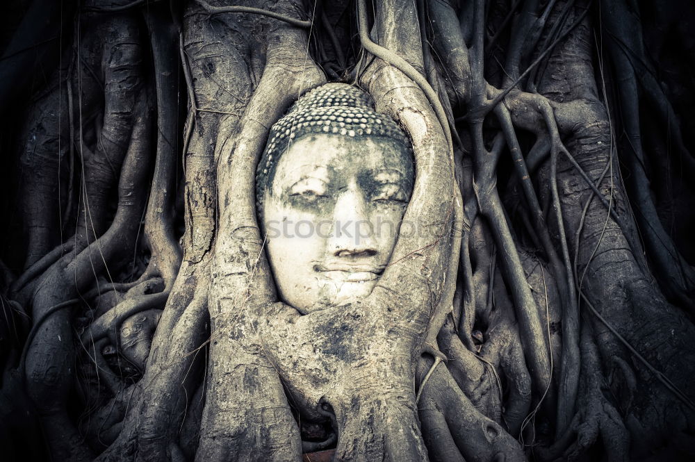 Similar – Buddha meditating on fence post