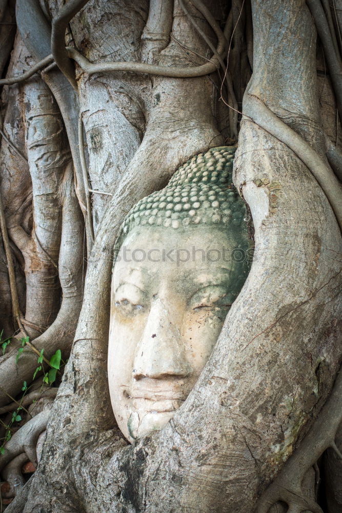 Similar – Image, Stock Photo Bich Dong Pagoda in Ninh Binh, Vietnam. Trung Pagoda (middle pagoda)