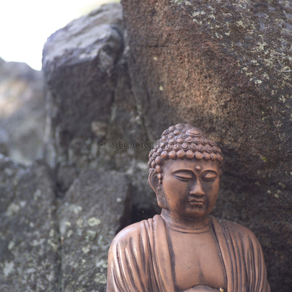 Similar – Small Buddha sitting on the root of a mighty oak tree