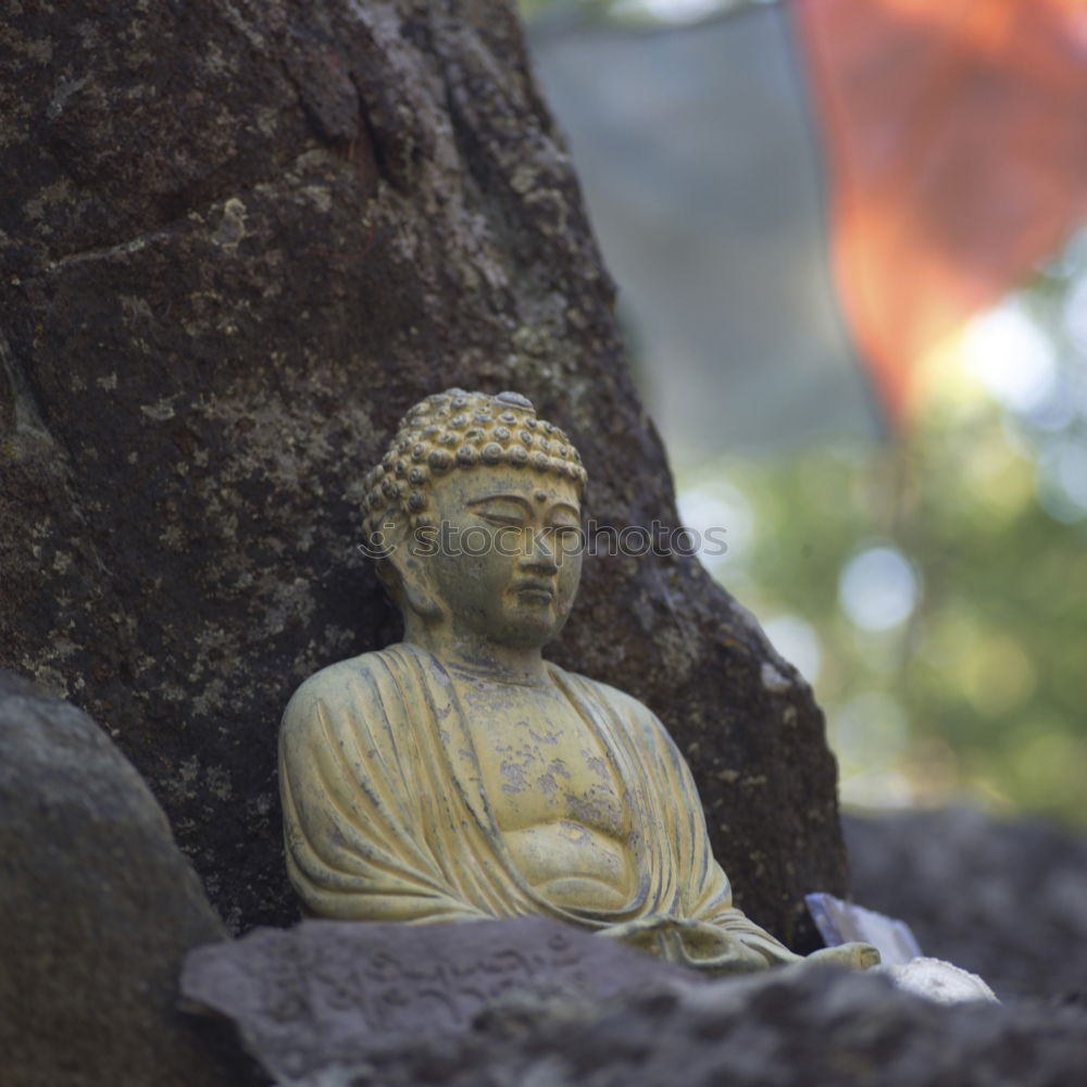 Similar – Small Buddha sitting on the root of a mighty oak tree