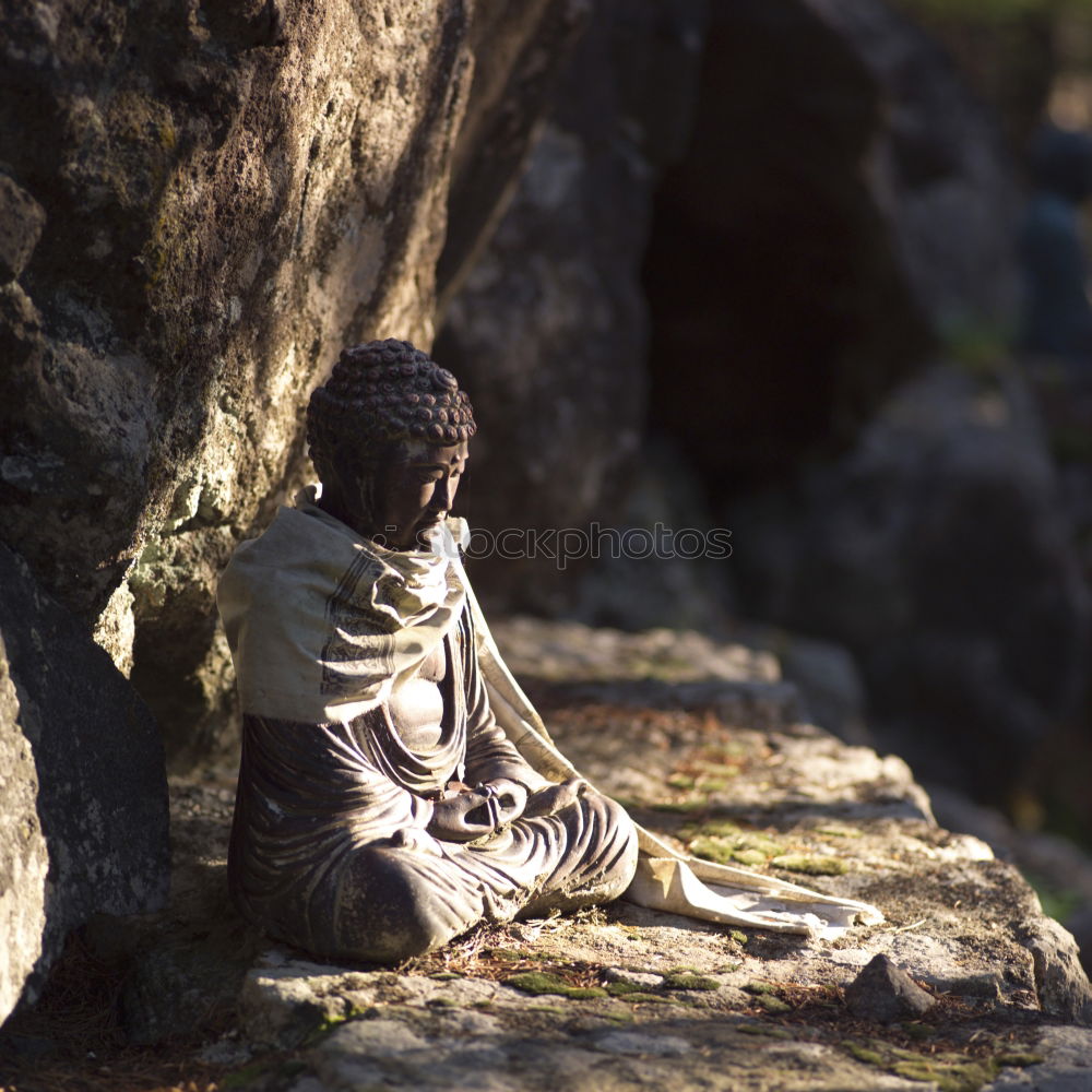 Small Buddha sitting on the root of a mighty oak tree