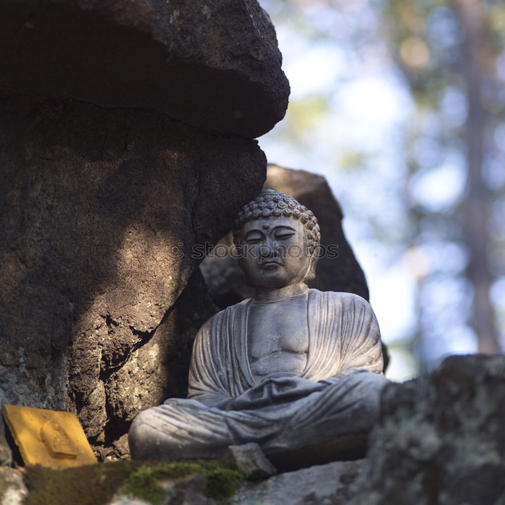 Similar – Small Buddha sitting on the root of a mighty oak tree