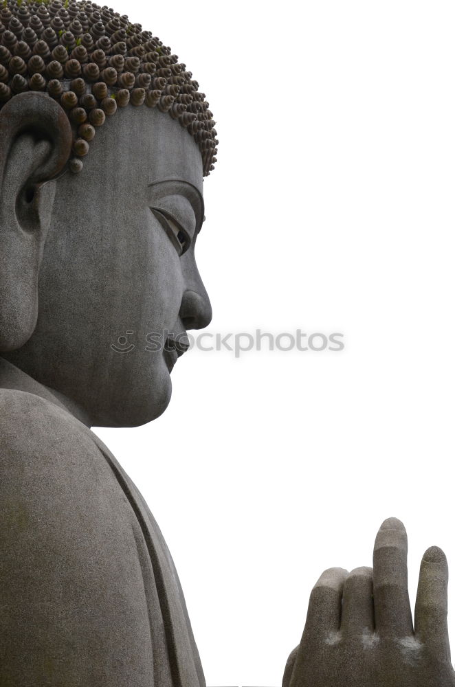 Similar – Image, Stock Photo Tian Tan Buddha Temple, Hong Kong