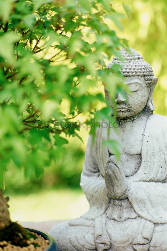 Similar – Image, Stock Photo Buddha 1 Human being