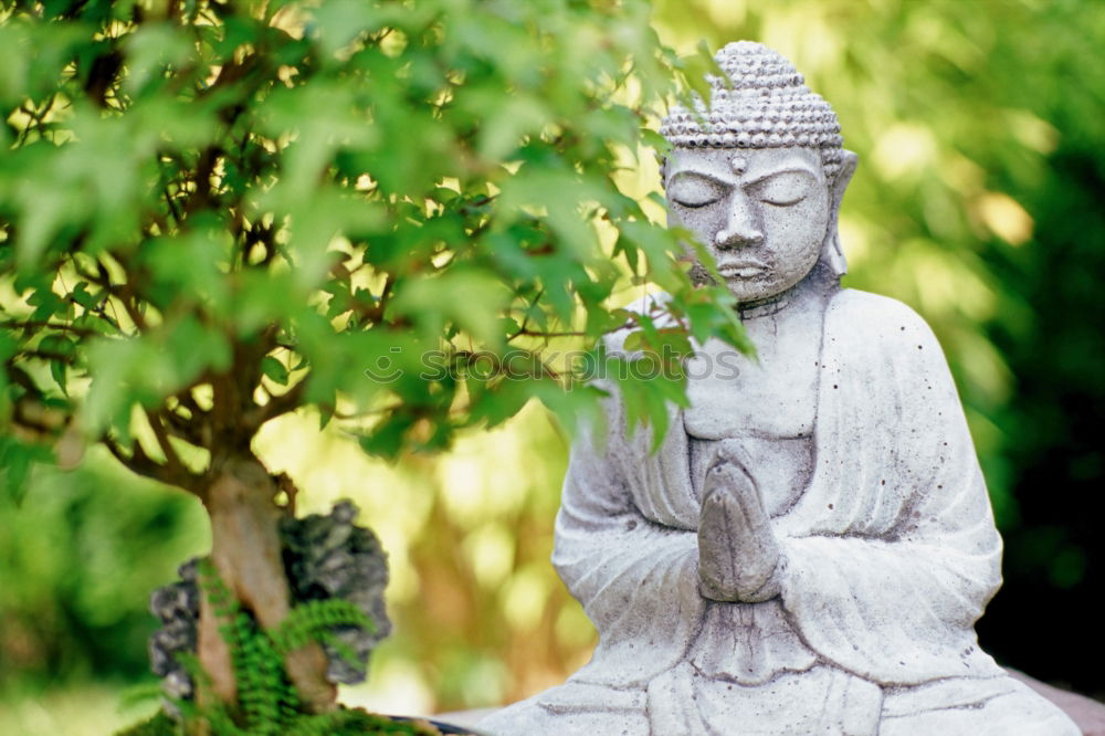 Similar – Image, Stock Photo Buddha 1 Human being