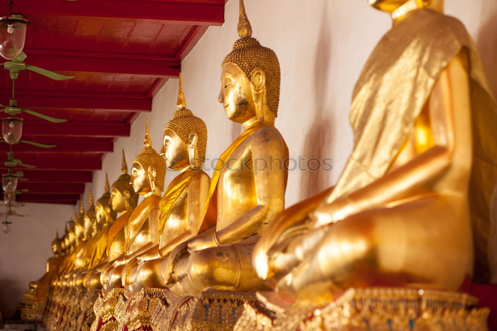 Image, Stock Photo golden statues in 1000 Buddhas Temple in Hong Kong.