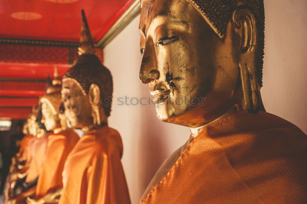 Similar – Image, Stock Photo Buddhist statues in a temple in Vietnam