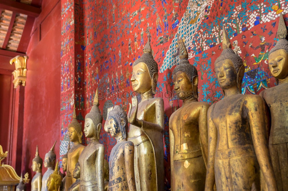 Similar – Image, Stock Photo golden statues in 1000 Buddhas Temple in Hong Kong.