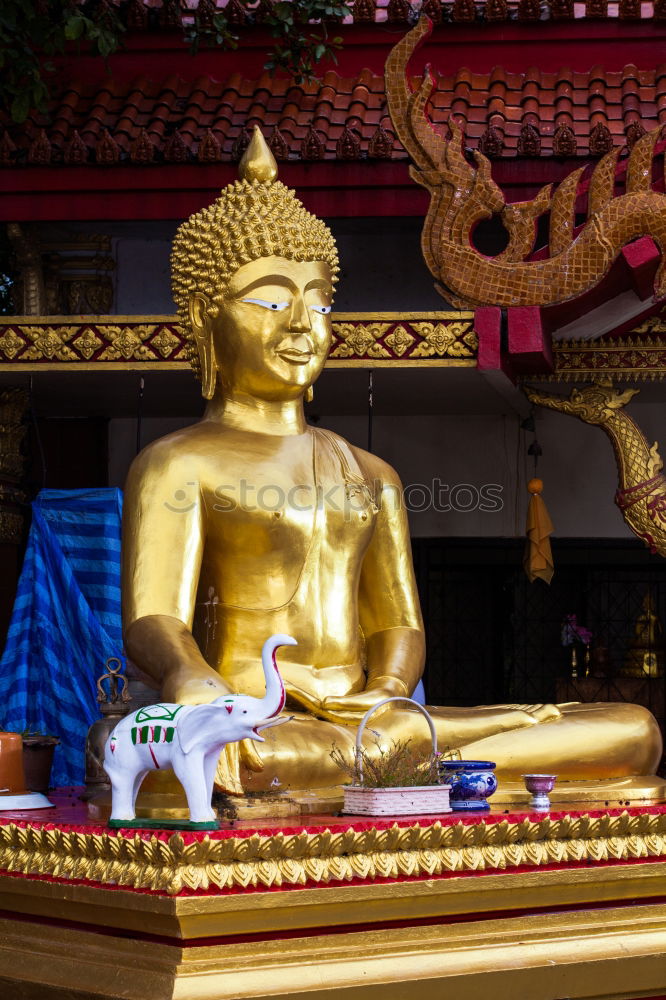 Similar – Image, Stock Photo Temple in Hanoi, Viet Nam