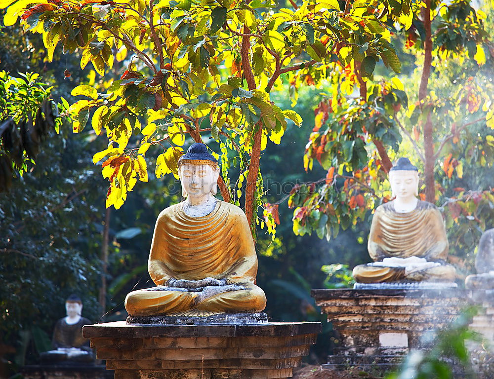 Similar – Temple in Hong Kong