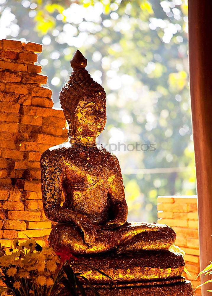 Similar – Image, Stock Photo Temple in Hong Kong