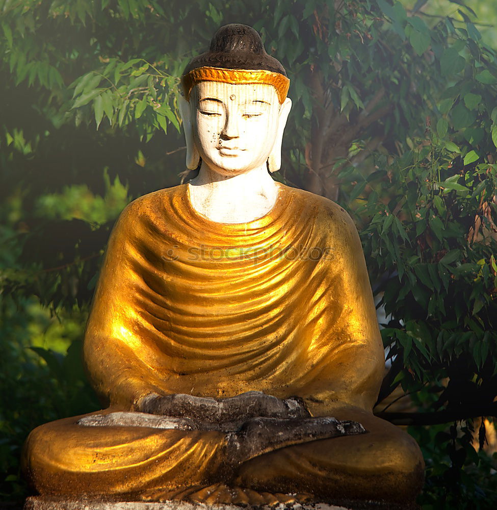 Similar – Image, Stock Photo Temple in Hong Kong