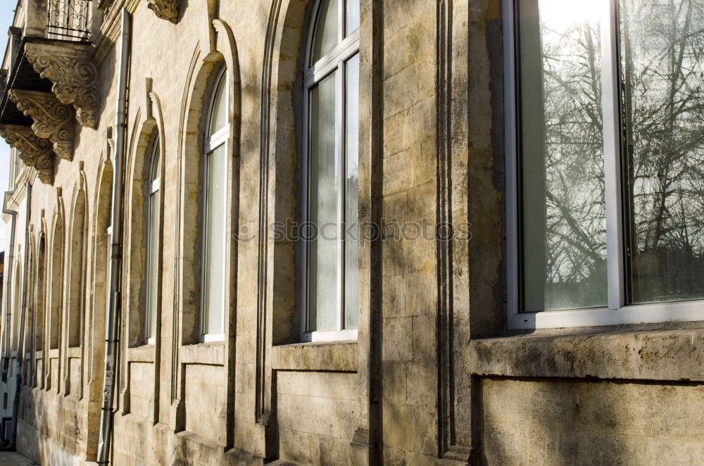 Similar – Image, Stock Photo Stylish man leaning on wall