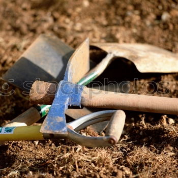 Similar – Image, Stock Photo In the garden Garden