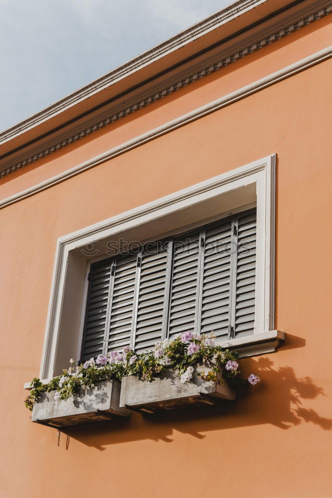 Similar – Image, Stock Photo Cannes Town