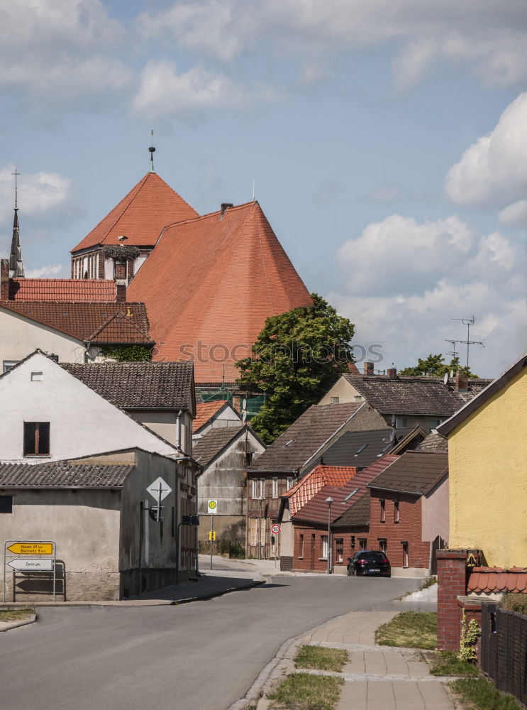 sackgasse Himmel Pflanze