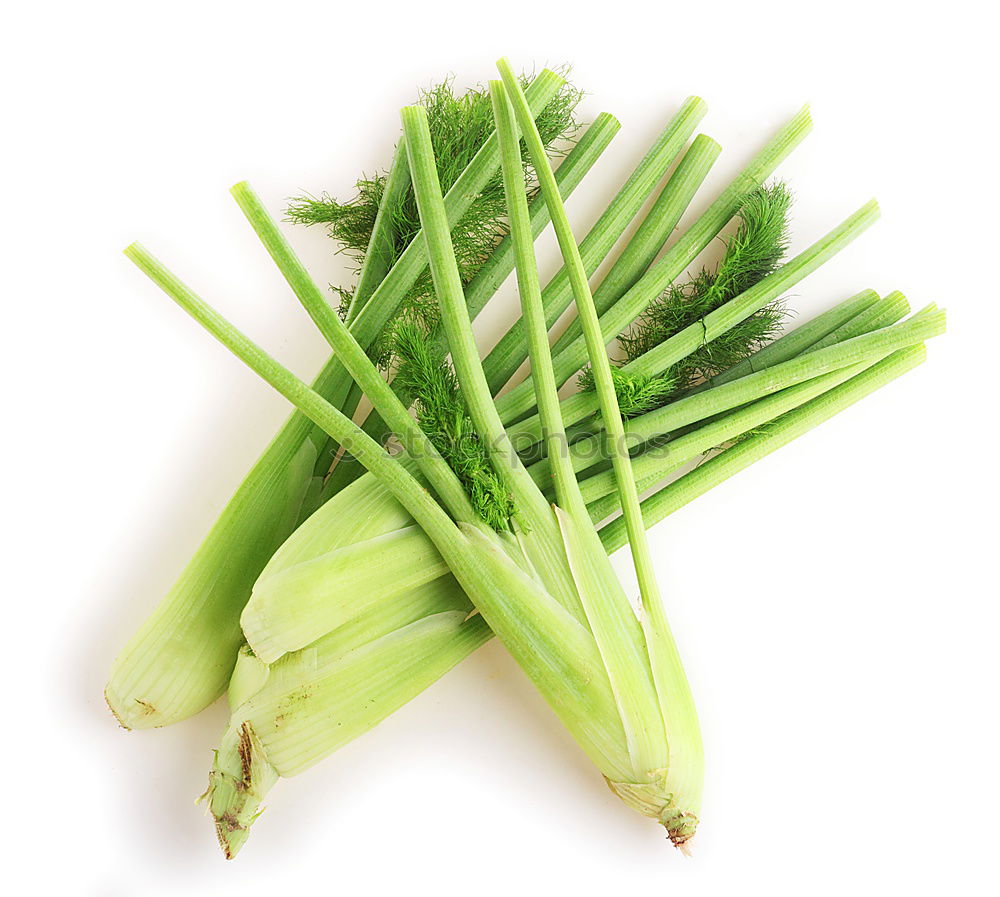 Similar – Image, Stock Photo chives Chives Fresh Green