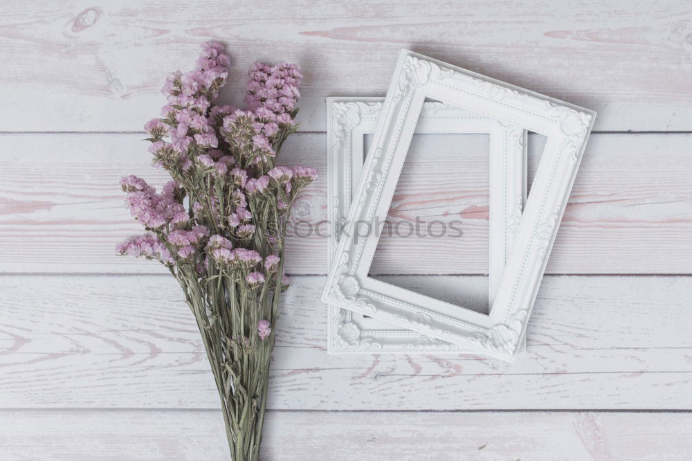 Similar – Image, Stock Photo AST 9 | Front garden: blades of grass in front of a mysterious half-open window