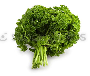 Similar – Image, Stock Photo parsley Parsley