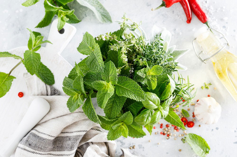 Similar – Pickled cucumbers made of home garden vegetables and herbs