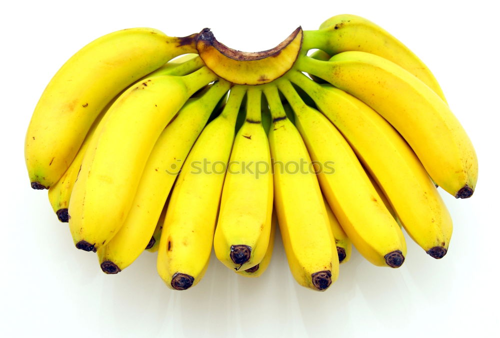 Similar – Image, Stock Photo Rotten Bananana Foul fuzzy