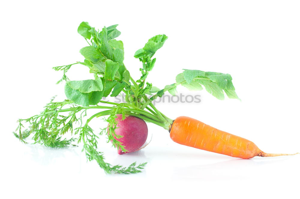 Similar – radish Food Vegetable