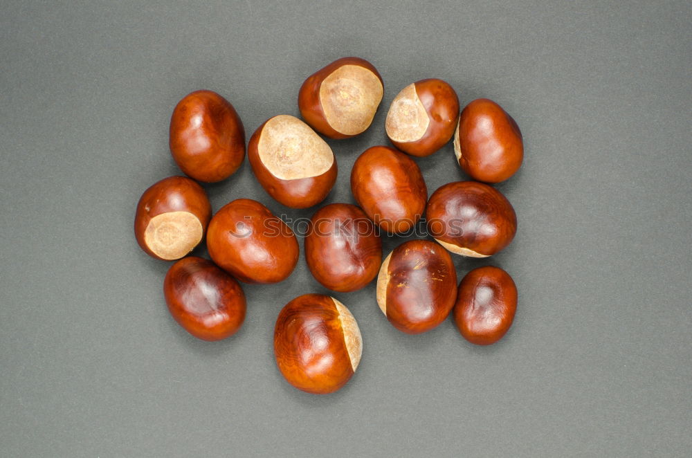 Similar – Image, Stock Photo #AS# Chestnut gang Nature