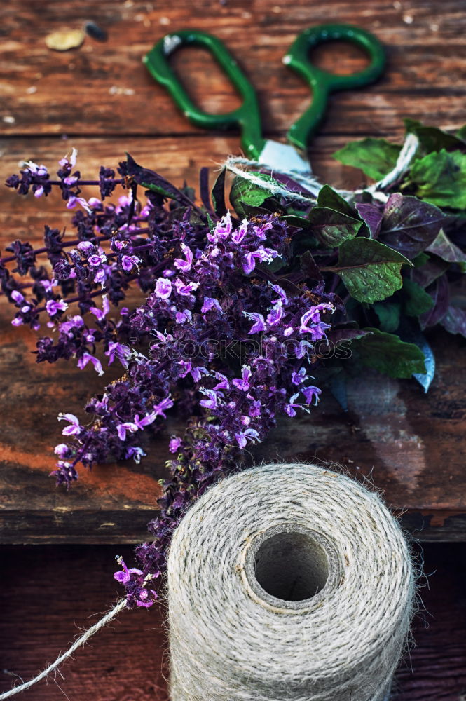 Similar – Gift and bouquet of lilacs on a wooden table