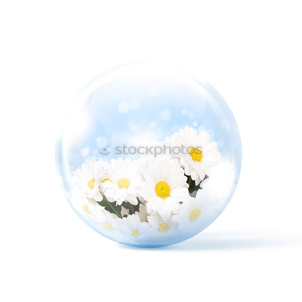 Similar – Image, Stock Photo Happy Easter! Spring