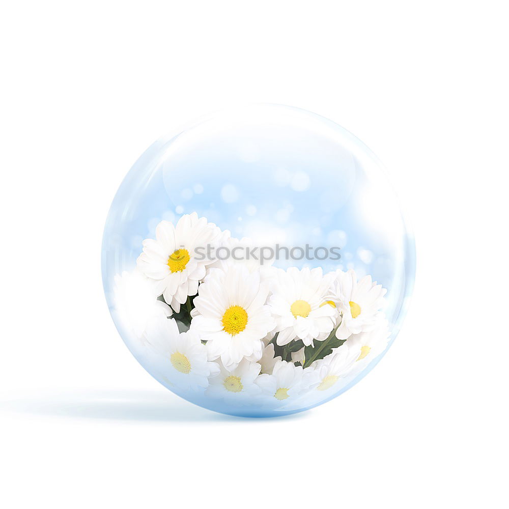 Happy Easter! Spring