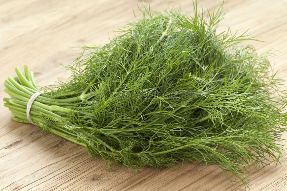 Similar – rosemary Food