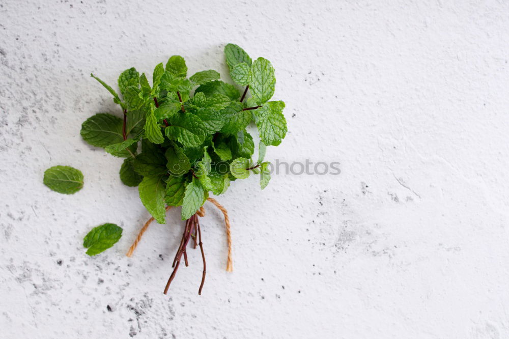 Similar – Image, Stock Photo salad Food Vegetable