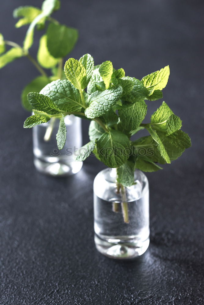 Similar – Sage bundle in glass on wood background