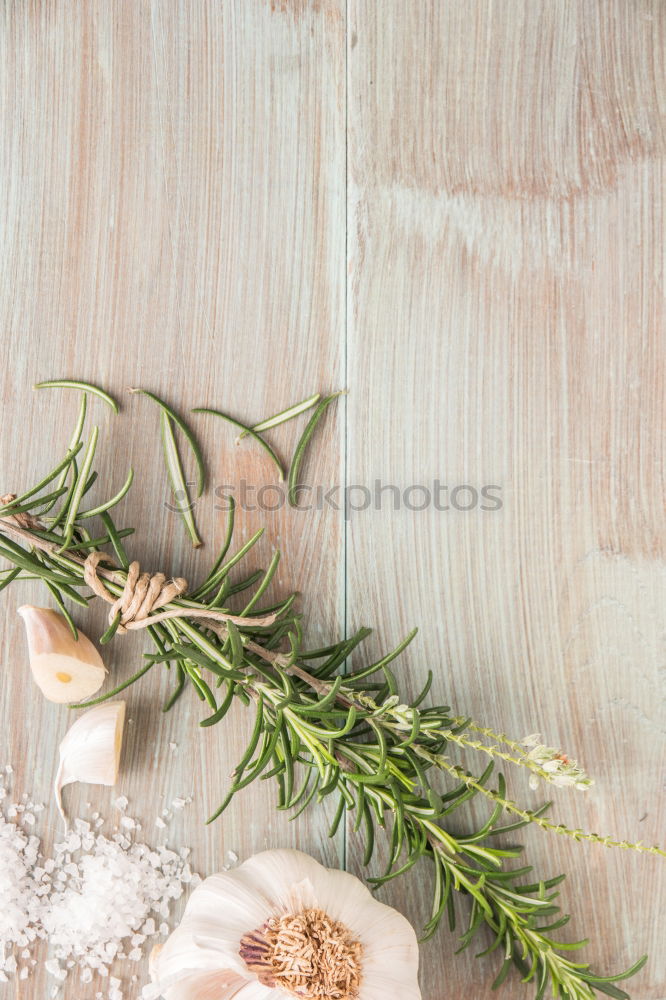 Similar – Image, Stock Photo rustic gardener set on white backround.