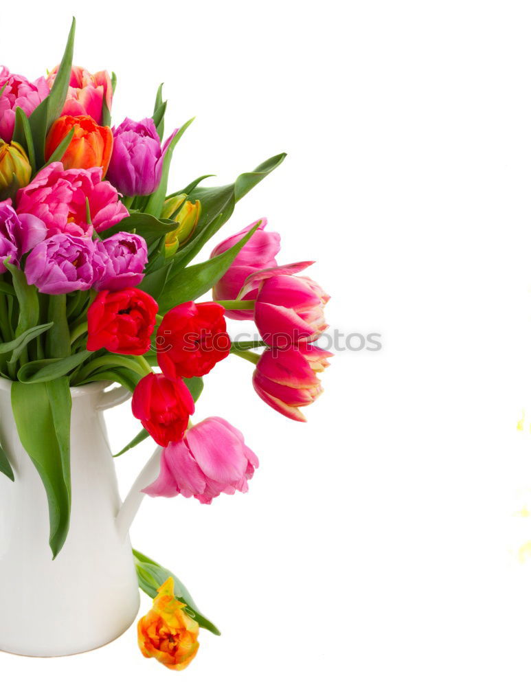 Similar – Image, Stock Photo suck it away.