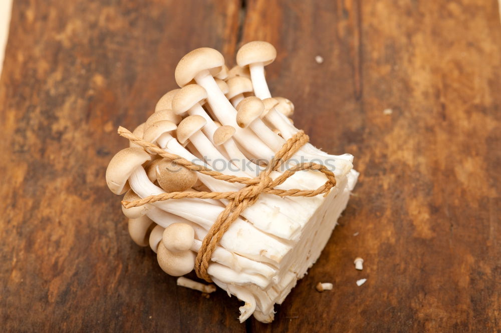 Similar – Image, Stock Photo Close up of cookie cutters in a dough on a dark table